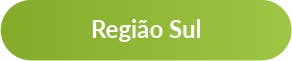 Região Sul